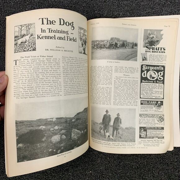 Vintage Forest and Stream Magazine January 1930 Duck Hunting Hunting Outdoors - Picture 8 of 10